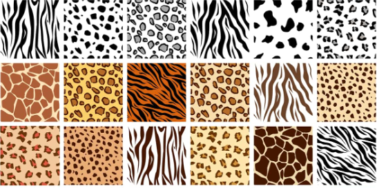 Animal prints have always been a popular fashion trend, and they continue to reign supreme in the fashion world.