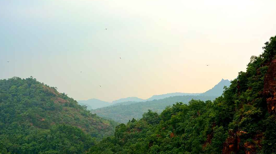 The Satpura Ranges are a range of hills located in Central India, spanning across the states of Maharashtra, Madhya Pradesh, and Gujarat.